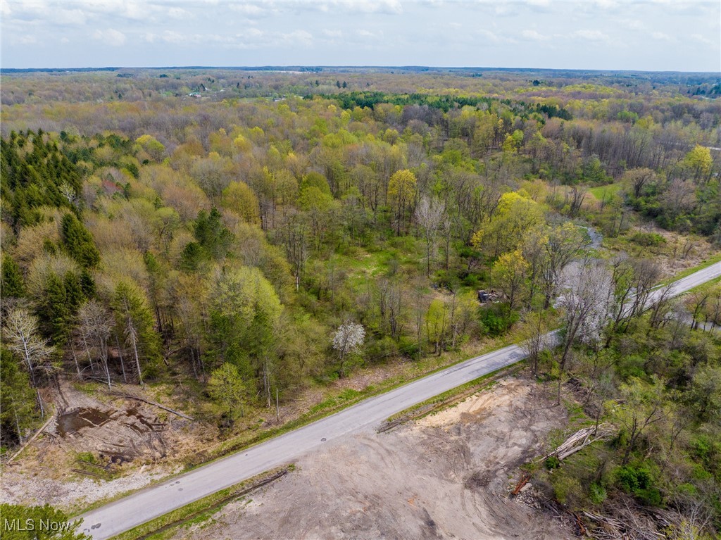 Crosby Creek Road, Rome, Ohio image 29
