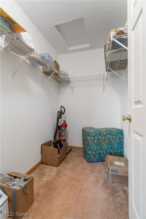 Brittany Pointe Condo - Residential