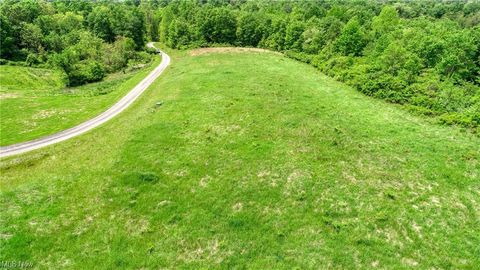 Vacant Land For Sale - 63530 Wintergreen Road<br/> Lore City, OH 43755