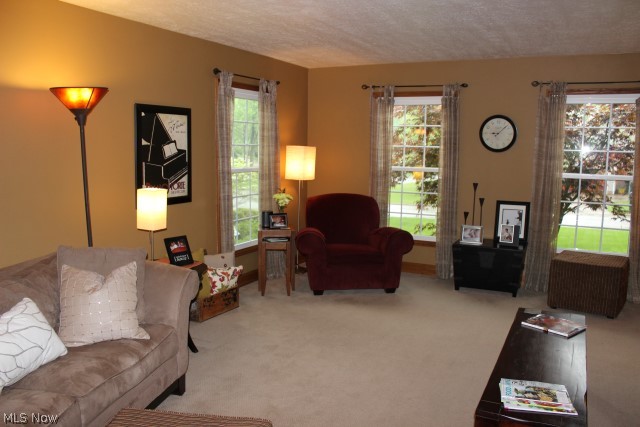 Meadow Wood Ph IV - Residential