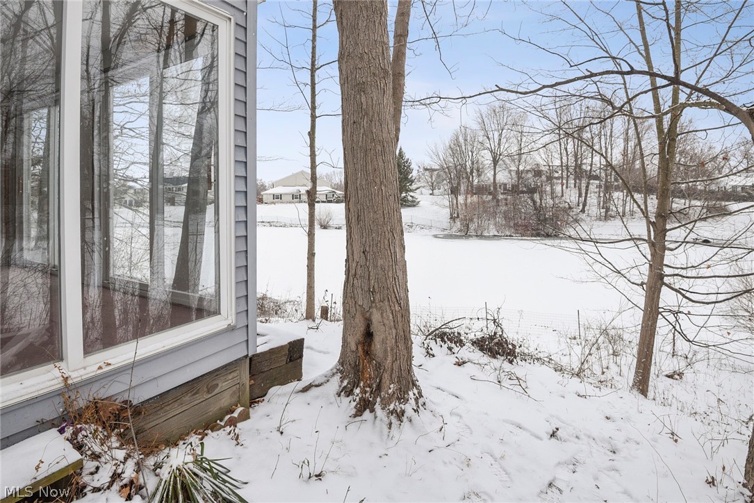 Country Scene Condo - Residential