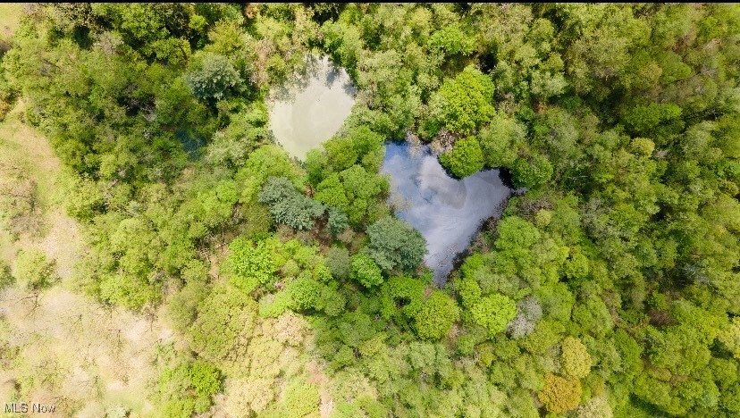 1517 Rolling Acres Road, New Cumberland, West Virginia image 30