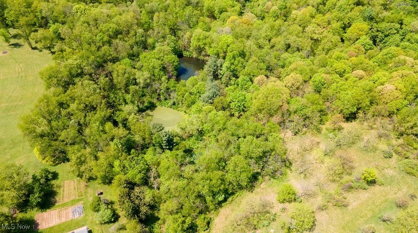 1517 Rolling Acres Road, New Cumberland, West Virginia image 28