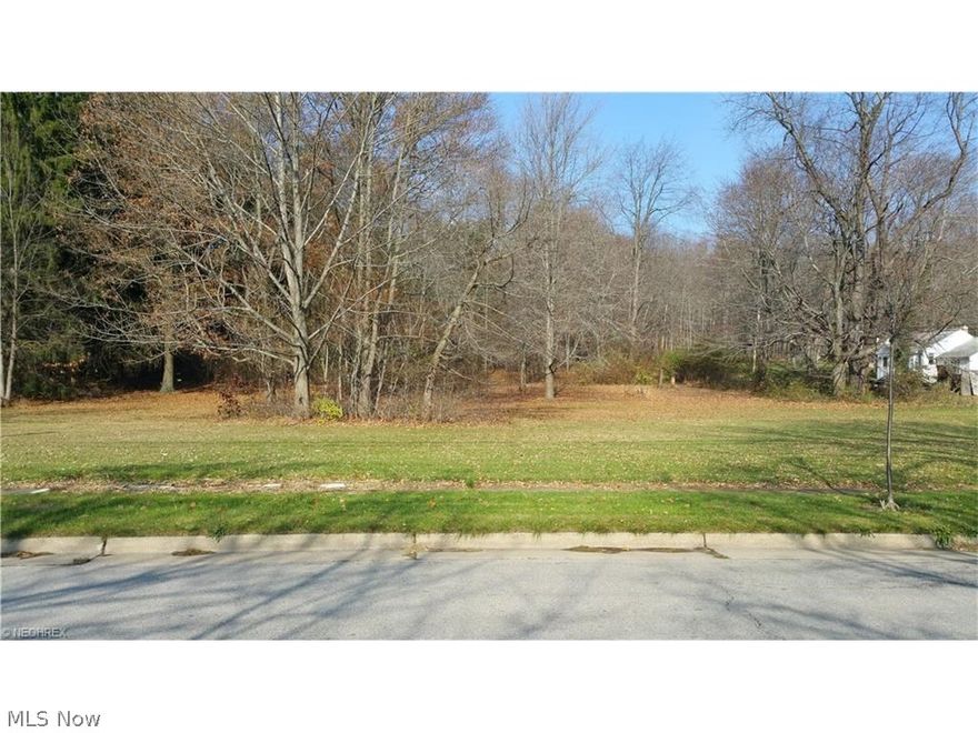 .9 acre lot for sale. Public utilities. Less than 5 minutes from I77 and 224. Similar sized lot for sale next to this one.