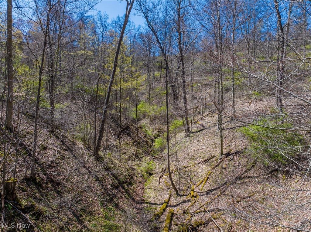 49942 State Route 536, Sardis, Ohio image 31