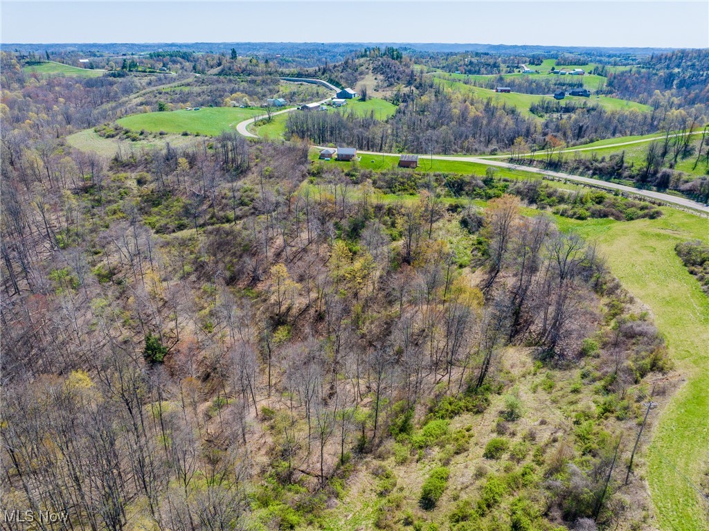 49942 State Route 536, Sardis, Ohio image 33