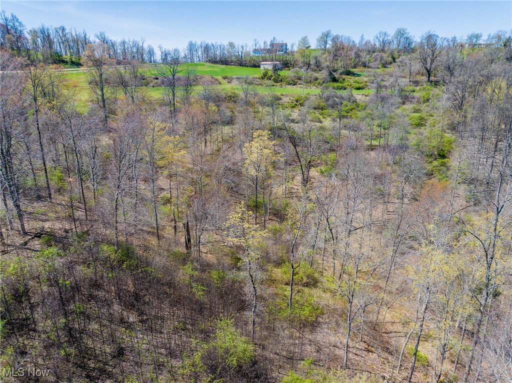 49942 State Route 536, Sardis, Ohio image 30