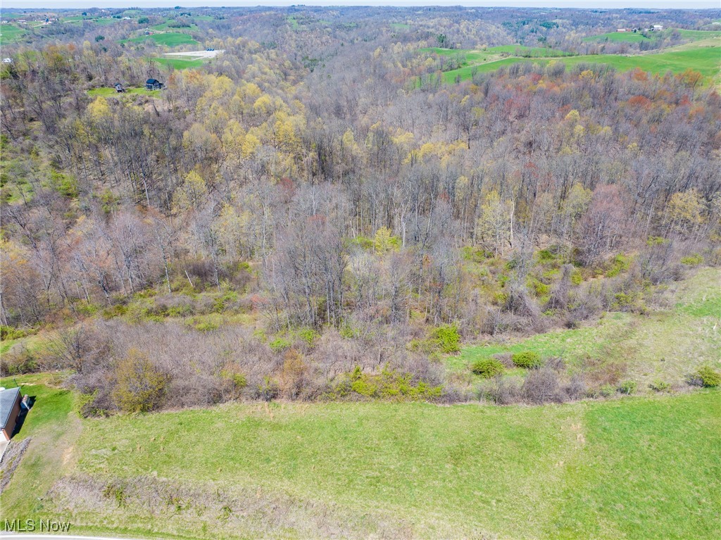 49942 State Route 536, Sardis, Ohio image 36