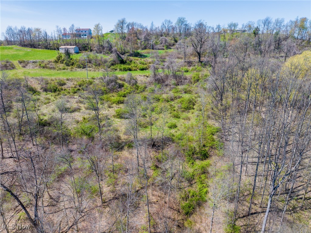49942 State Route 536, Sardis, Ohio image 32