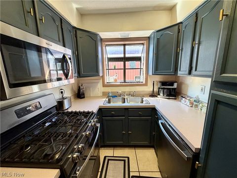 Tiny photo for 274 Rustic Rook Road, Chippewa Lake, OH 44215 (MLS # 5189407)