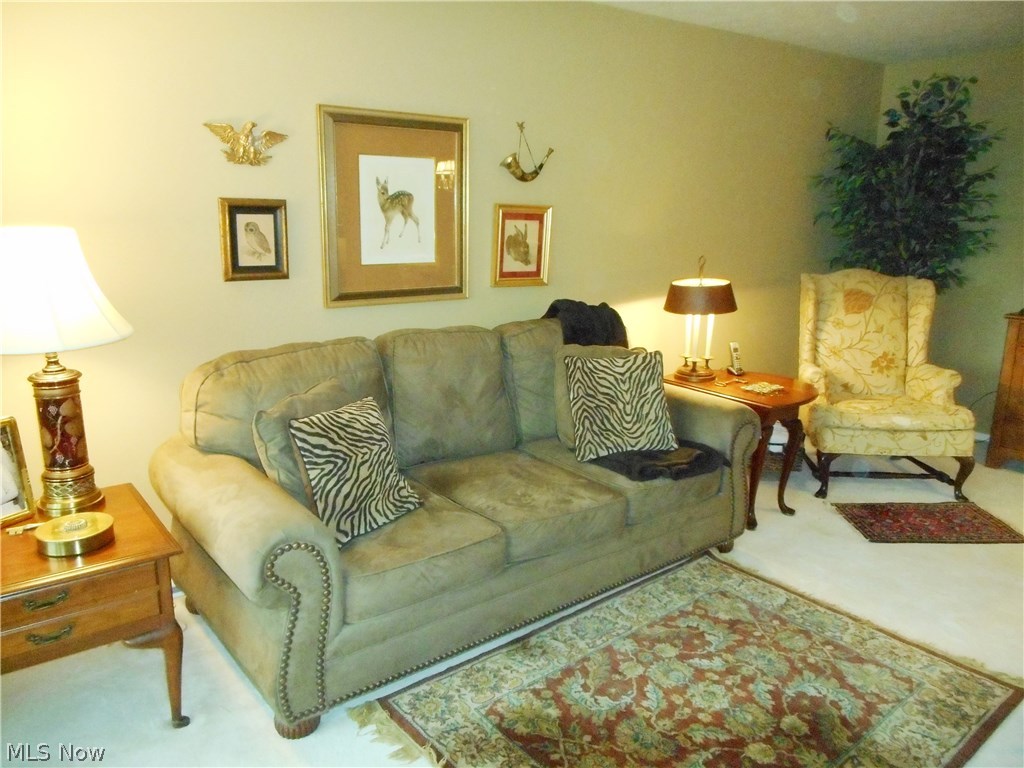 Silver Lake Towers Condo - Residential