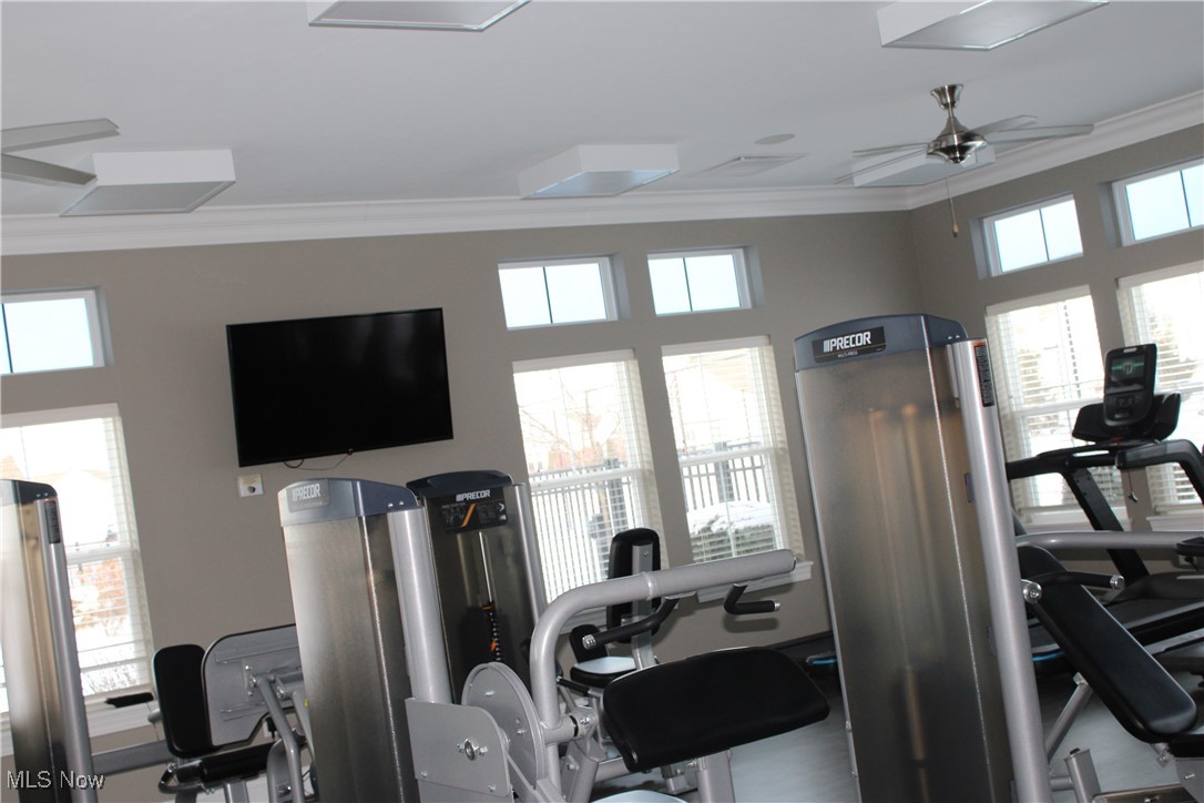 Four Seasons - Residential