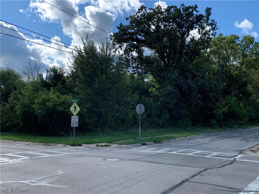 FANTASTIC LOCATION!  This +half-acre lot sits adjacent to a community park that has a pavilion and playground (summer family parties in the park).  Conveniently located a short distance from Lake Rd., Walker Rd. shopping in Avon Lake, and freeway access from Abbe & SR 611. Build to suit on this great property. All utilities are available at the street.