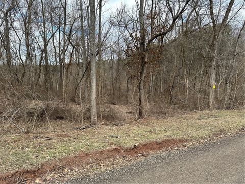Vacant Land For Sale - Fisher Ridge Rd, Tract 6<br/> Fleming, OH 45729