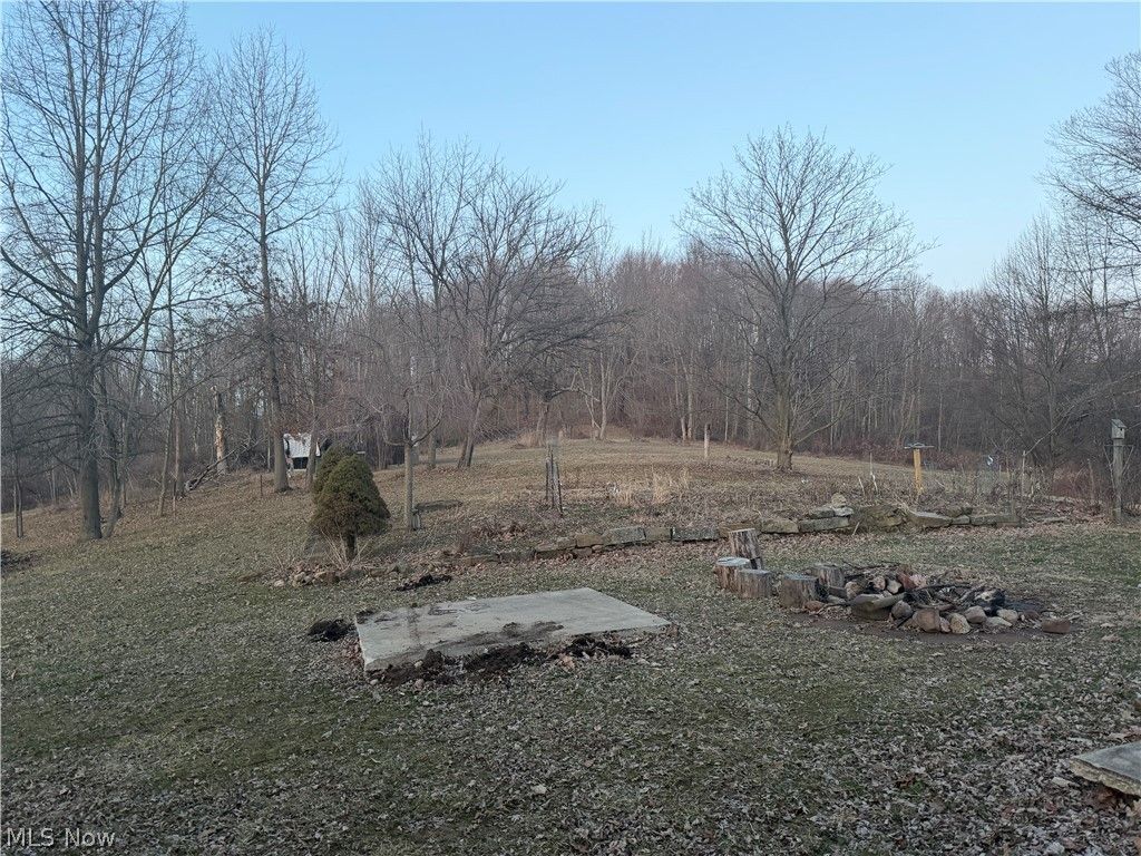 Photo of 9996 Stump Road, Minerva, OH 44657 (MLS # 5186425)
