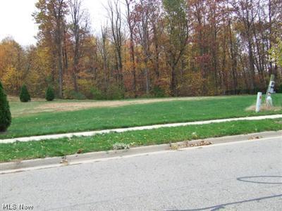 The Villages at Coventry Crossing - Land