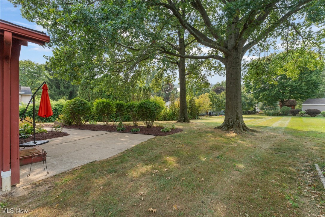 Springhaven Allotment - Residential