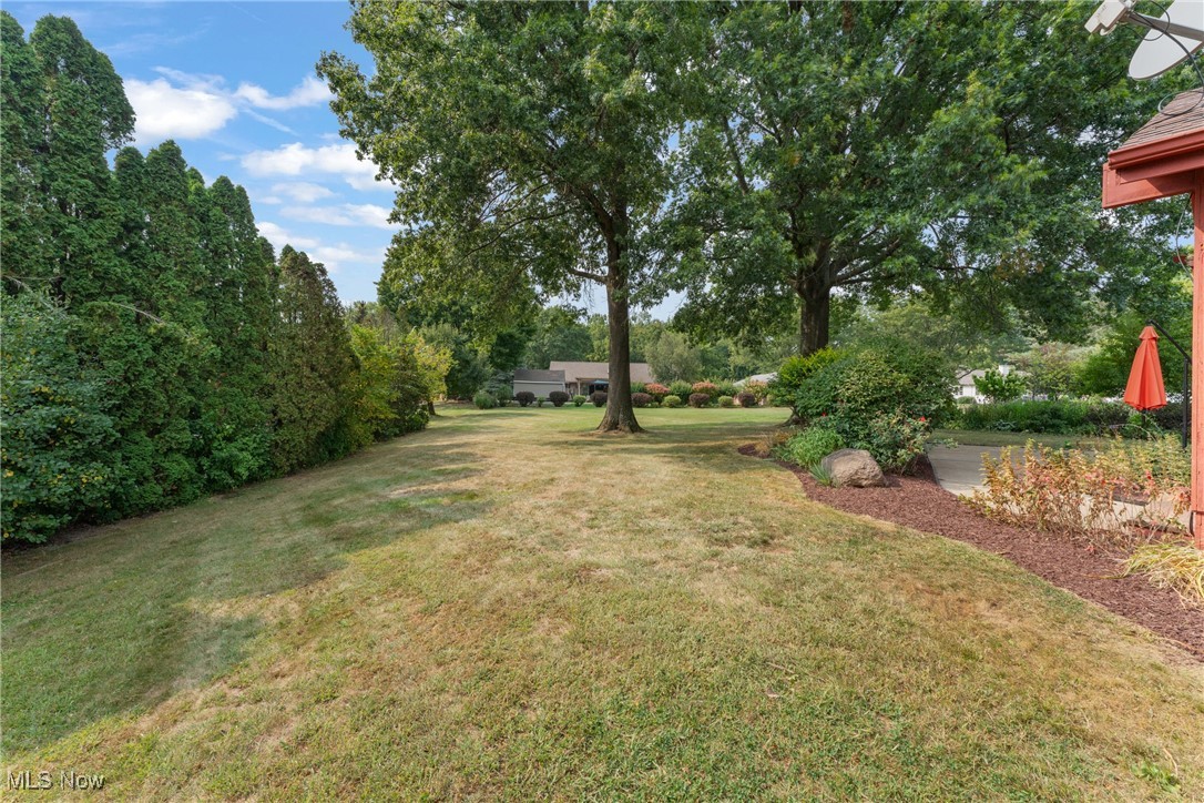 Springhaven Allotment - Residential