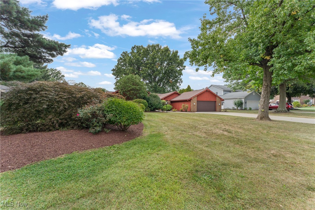 Springhaven Allotment - Residential