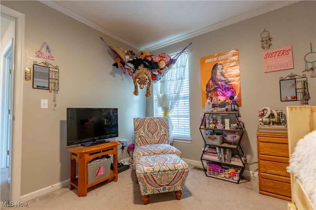 9943 Agate Street, Canal Fulton, Ohio image 23