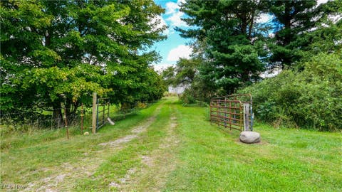 Photo for 11272 Crackel Road