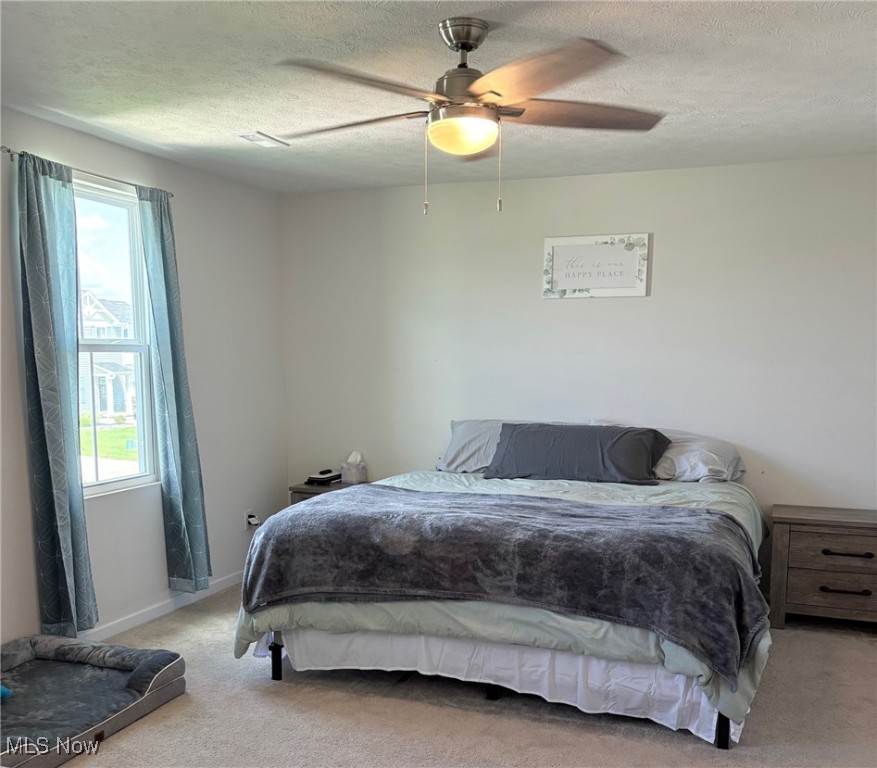 5635 Burlington Drive, Chippewa Lake, Ohio image 15