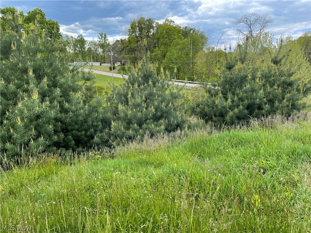 Newbury Road, Little Hocking, Ohio image 6