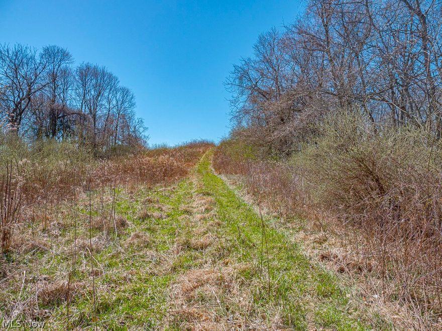 This 7.5-acre parcel features partially wooded terrain, blending tranquility with adventure. It includes a 30 x 40 partially finished cabin that requires minimal work to become the perfect weekend retreat. Located less than a half-mile from state land, this property provides access to hundreds of acres for public hunting, offering an ideal escape while maintaining accessibility. This is a unique opportunity to own a piece of paradise. Don't miss out.