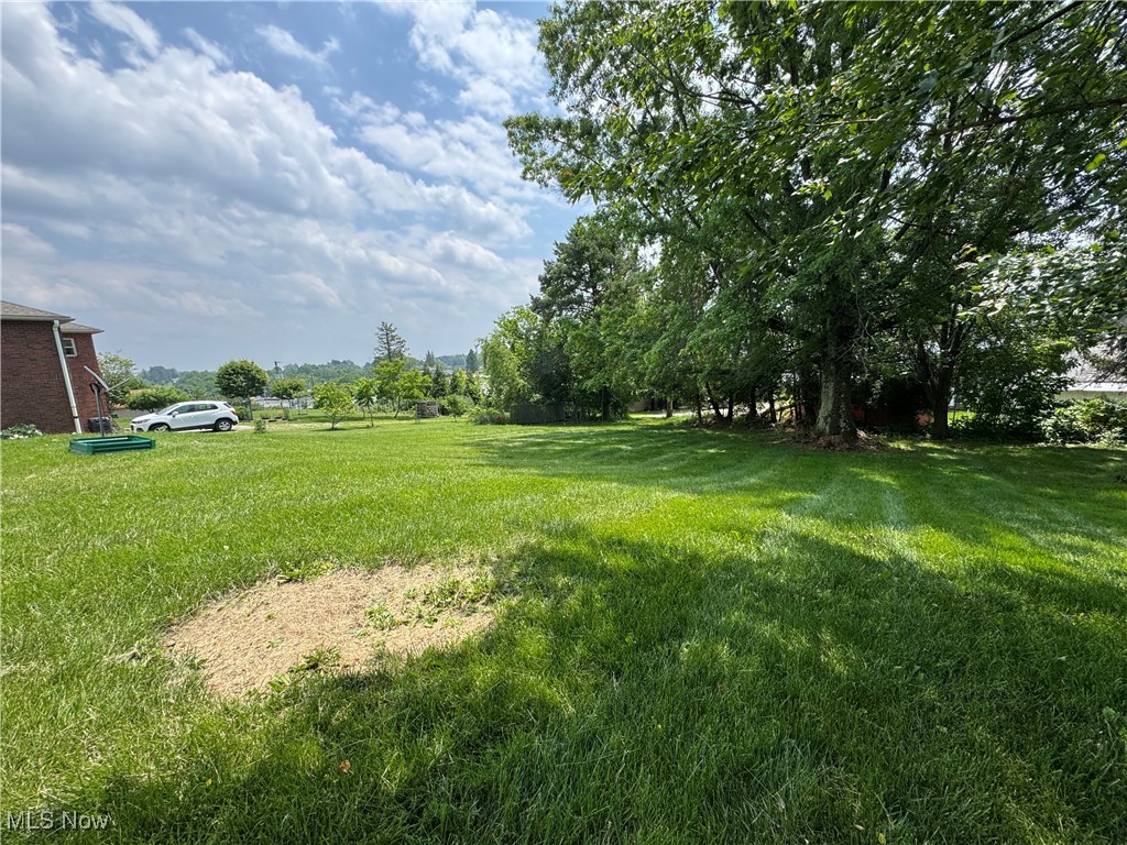 166 Bethesda Street, Barnesville, Ohio image 4