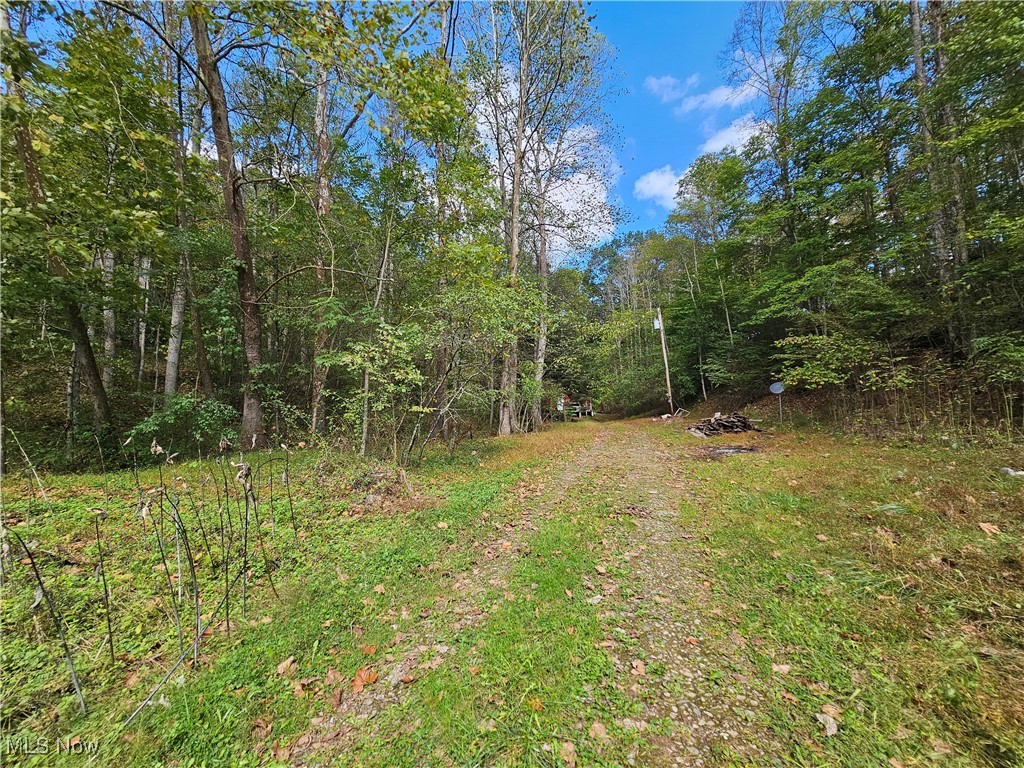 7020 Cairo- Cisco Rd., Petroleum, West Virginia image 7