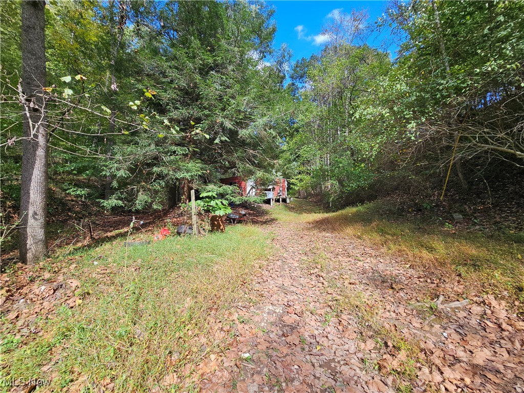 7020 Cairo- Cisco Rd., Petroleum, West Virginia image 6