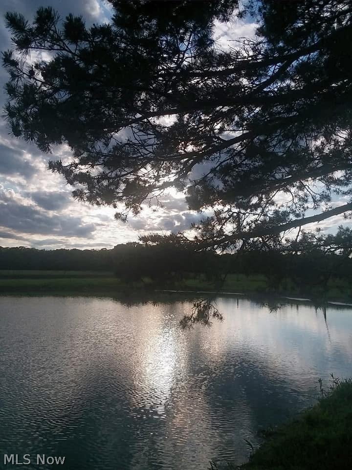 Firestone Road