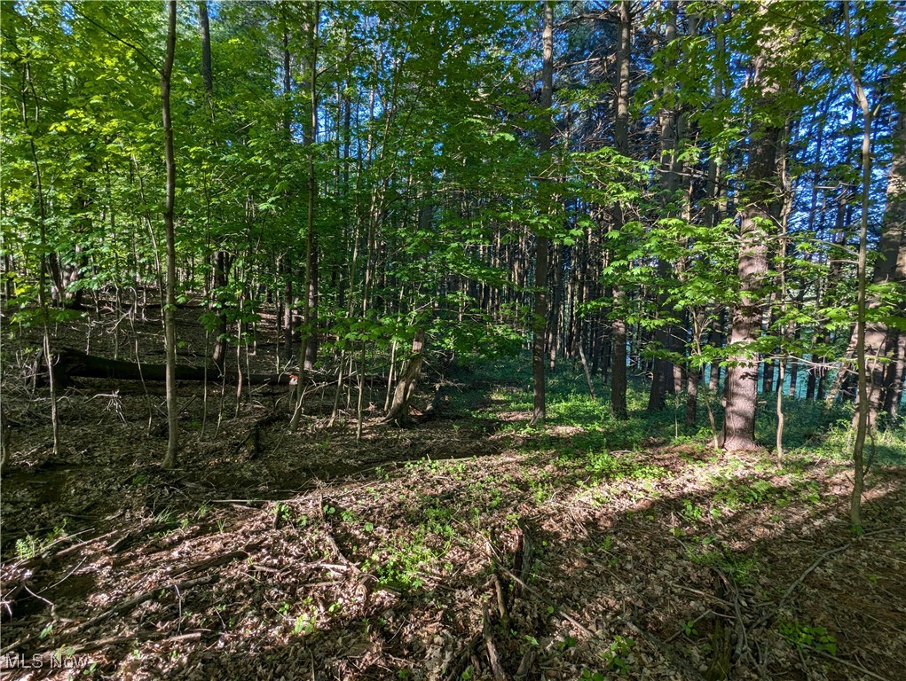 5216 Arrow Road, Minerva, Ohio image 9