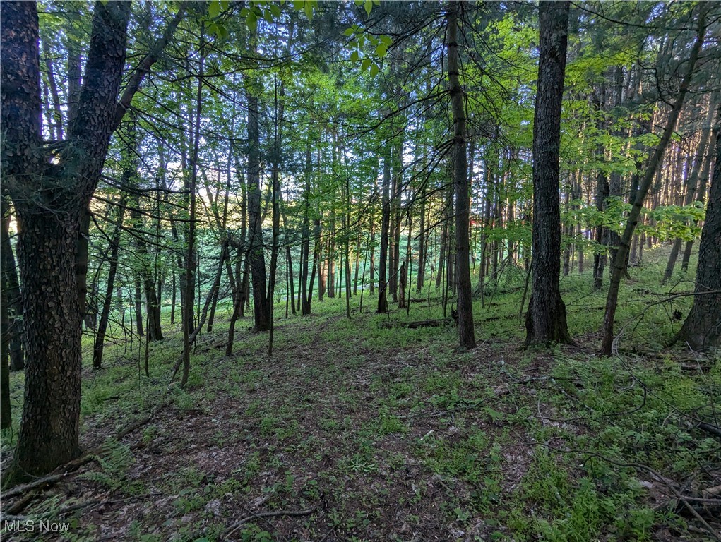 5216 Arrow Road, Minerva, Ohio image 11
