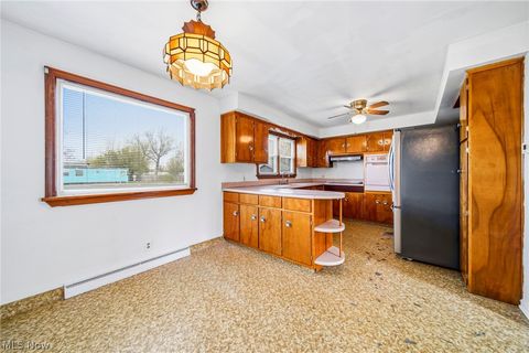 Tiny photo for 3203 Court Street, Ashtabula, OH 44004 (MLS # 5202834)