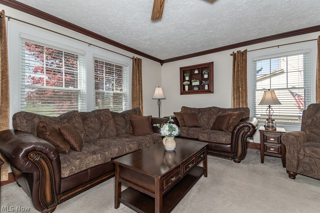 Skiffs Allotment - Residential