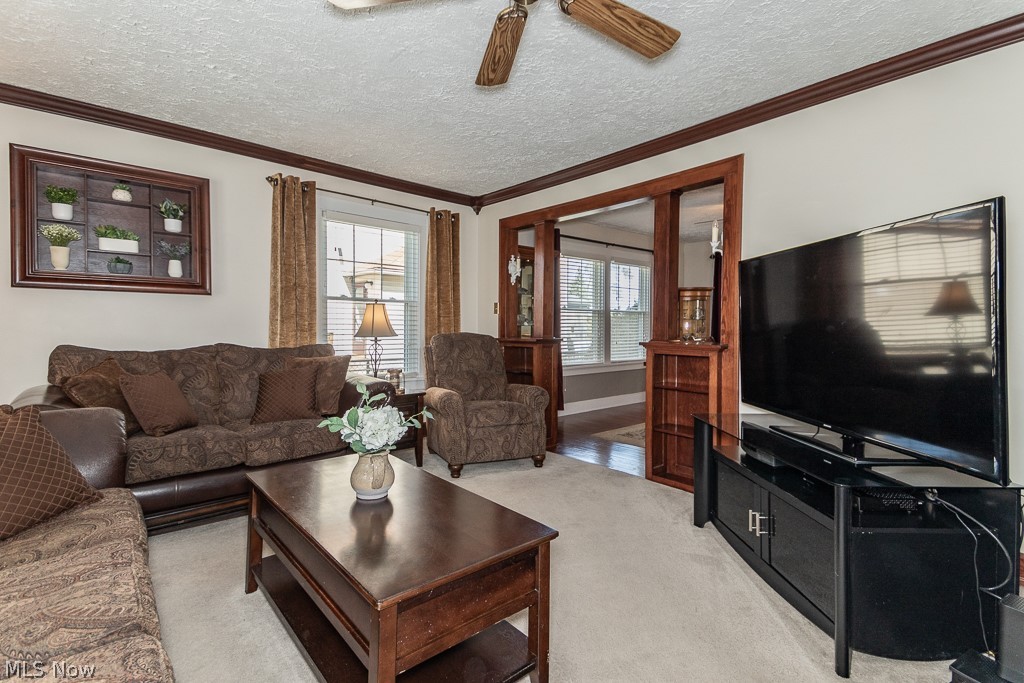 Skiffs Allotment - Residential