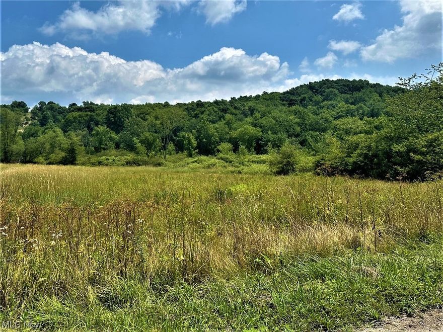 Looking for some good hunting land or a nice plot of acreage to build your new dream home? Check out this 13.78 mostly wooded acres full of wildlife and nature. Apple, Walnut, Oak, and maple trees add to the beauty of this land. Possible pond site with a creek already running on the land. Call today and come take a look! Seller is retaining mineral rights but will transfer surface rights.