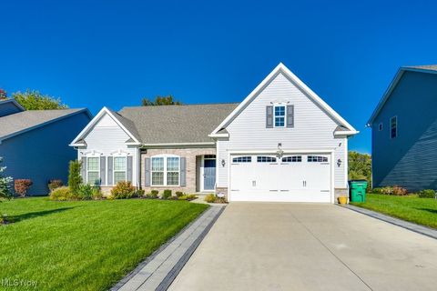 129 Ava June Drive, Painesville Township, OH 44077 - MLS#: 5112574