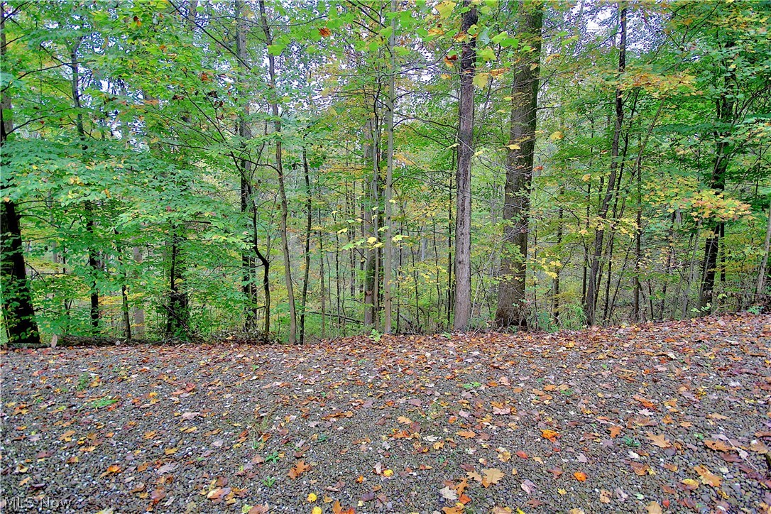 Hawksmoor - Residential Lease