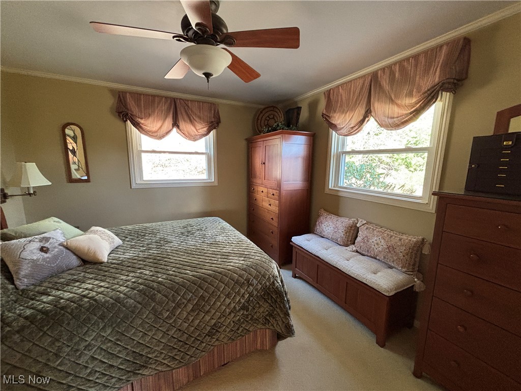 259 Downey Hill Drive, Dover, Ohio image 22