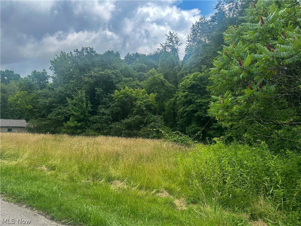Longwood Avenue