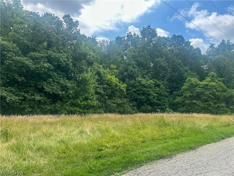 Vacant Land For Sale - Longwood Avenue<br/> Niles, OH 44446