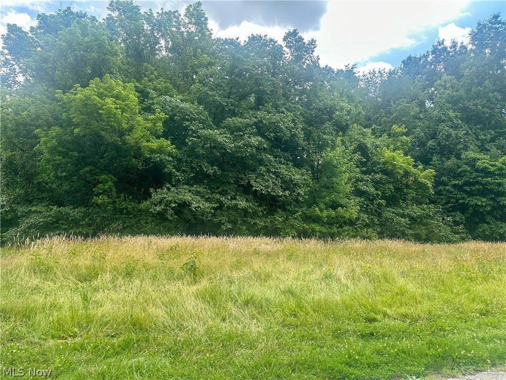 Longwood Avenue