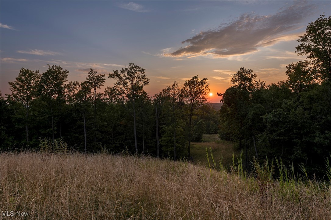 Viewpoint Sub - Land