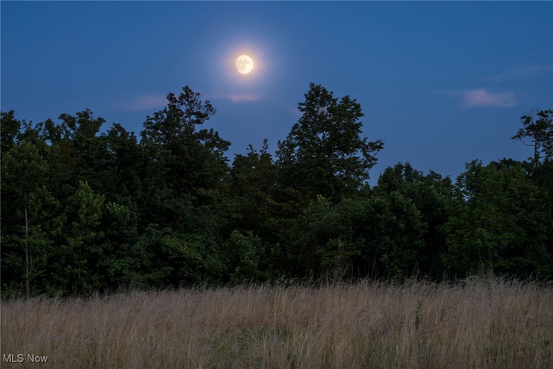 Viewpoint Sub - Land