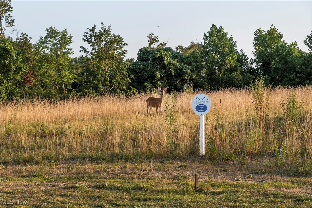 Viewpoint Sub - Land