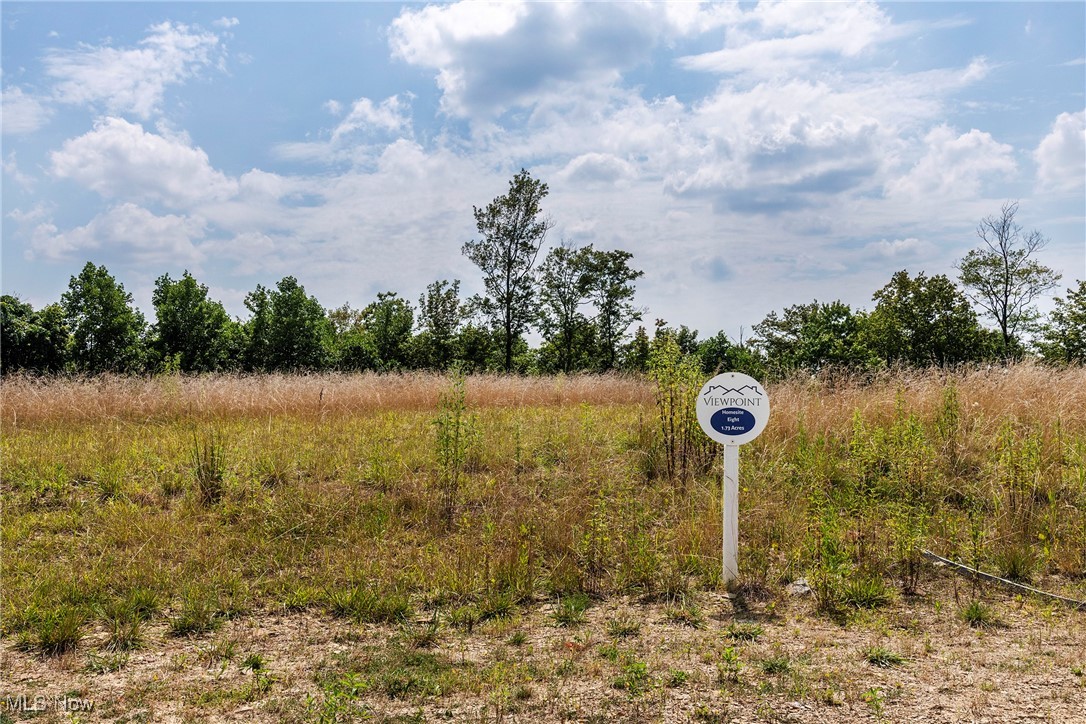 Viewpoint Sub - Land