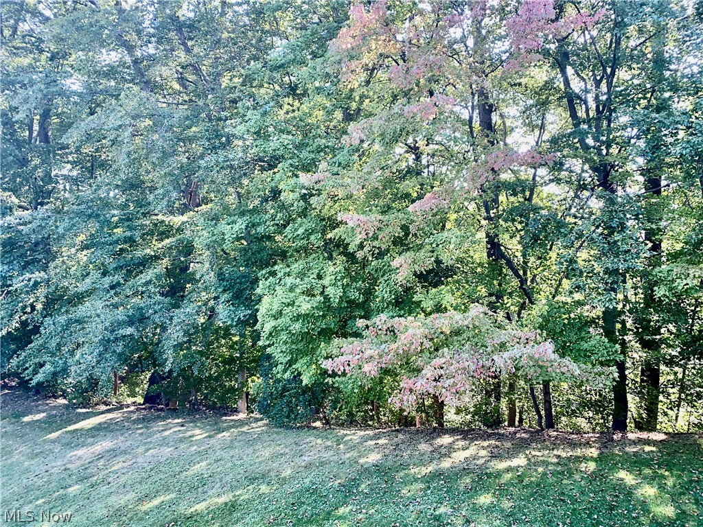 Timber Top Condo - Residential