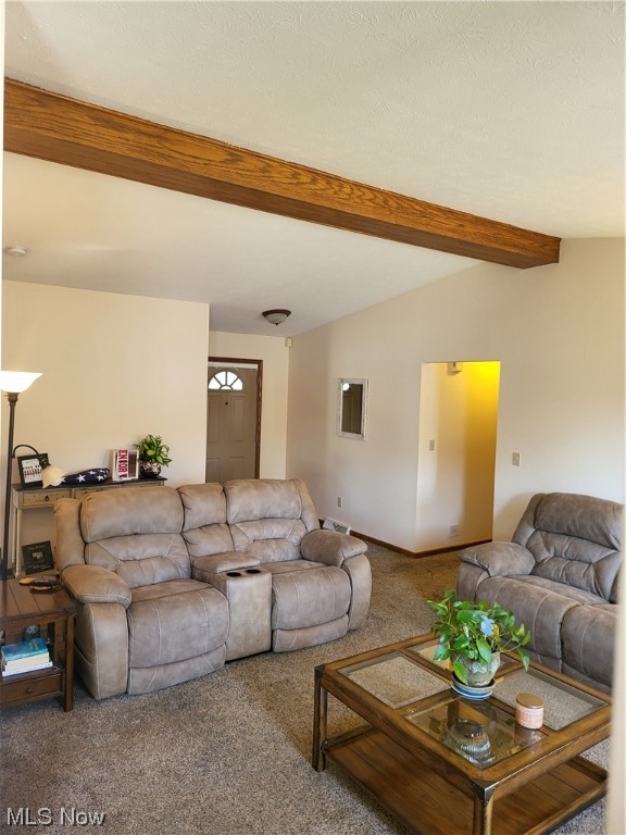 Mulberry Run - Residential